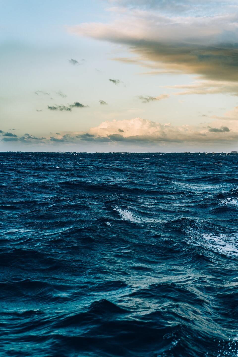 Você conhece (e explora) o Oceano Azul dentro do seu segmento de negócio?